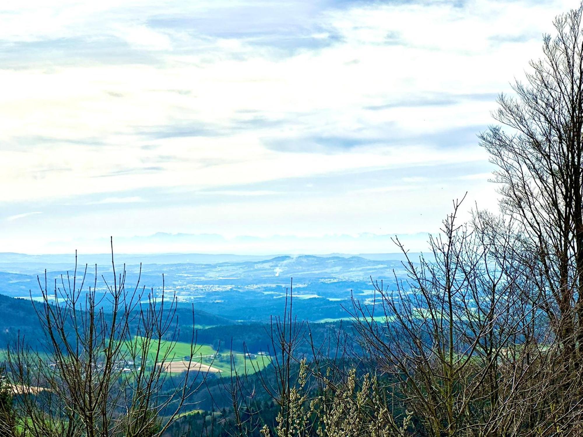Gemuetliches Alpenblick Berg-Bungalow + Grosser Garten + Netflix! Schöfweg Εξωτερικό φωτογραφία